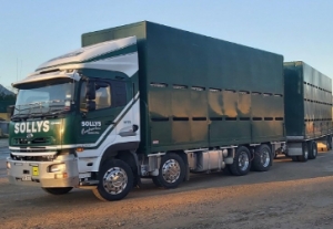 2014 UD CG470 Livestock Combination